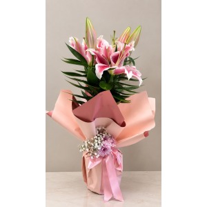 Pembe lilyum saksı çiçeği