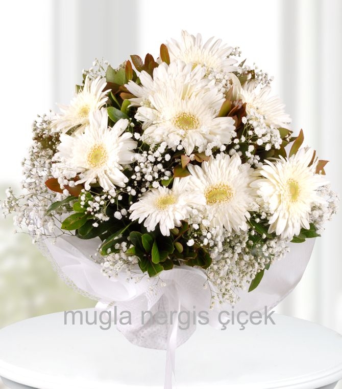 Beyaz Gerbera Buketi