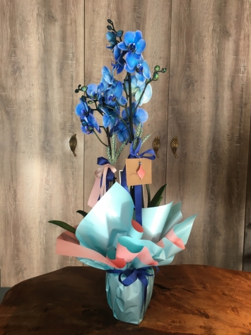 Mavi Orkide Özel tasarım