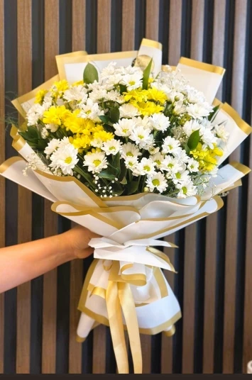 Sarı,Beyaz papatyalar