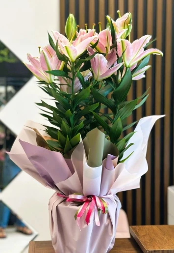 Lilyum saksı bitkisi