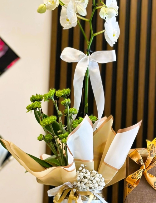 Seramikte Beyaz Orkide